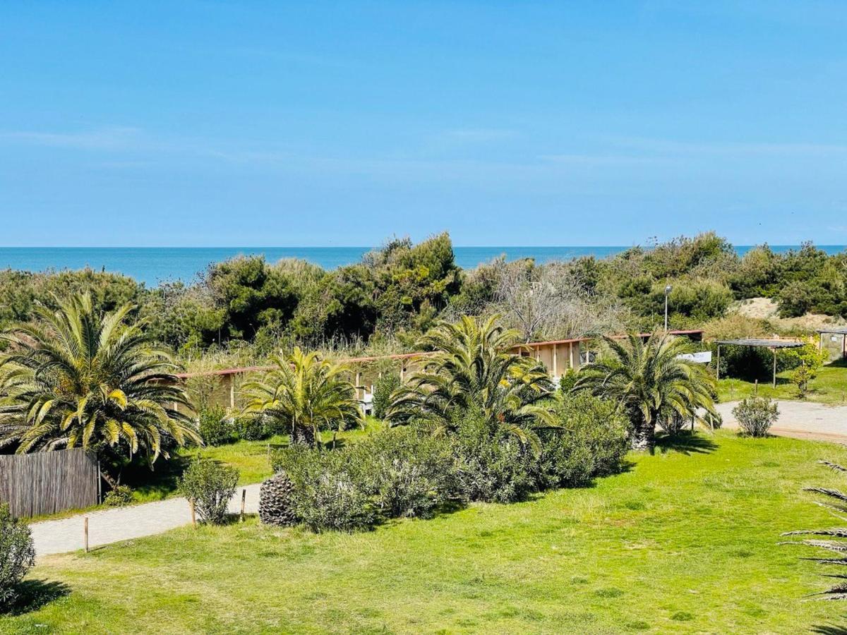 Regina Beach Holiday Apartments Tirrenia Exterior foto
